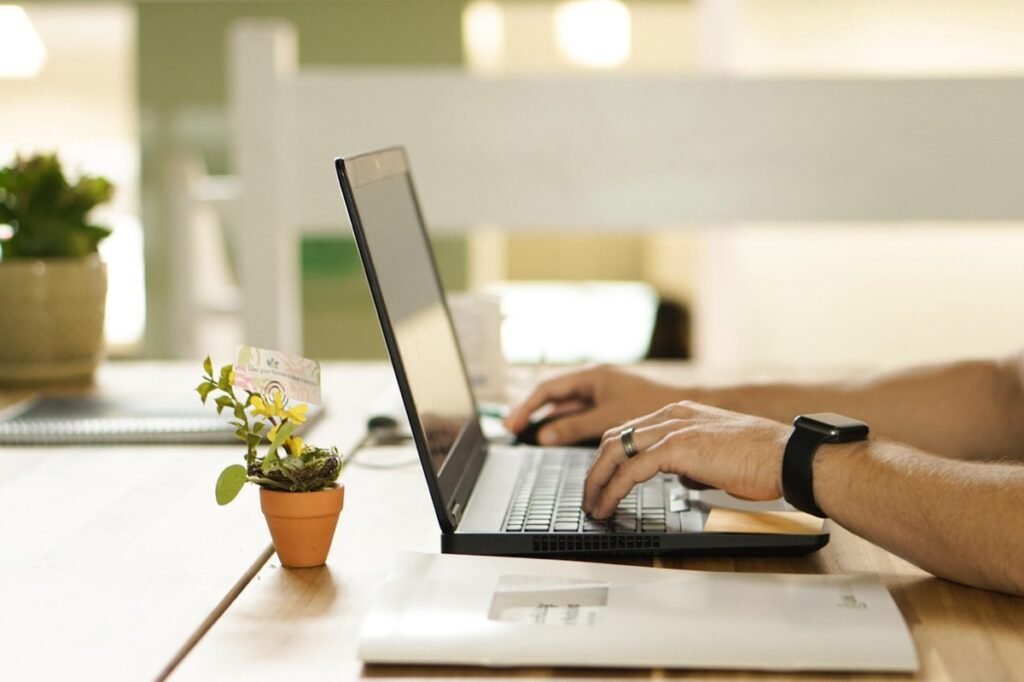 Person typing on a laptop beside a small plant